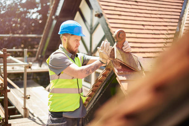 Best Roof Gutter Cleaning  in Water Valley, MS