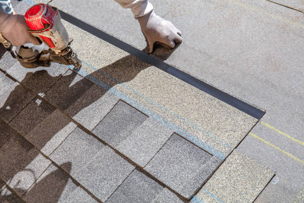 Best Shingle Roofing Installation  in Water Valley, MS