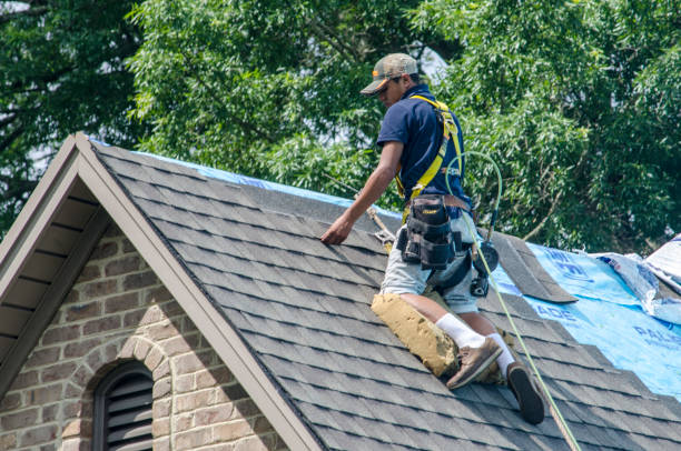 Best Best Roofing Contractors  in Water Valley, MS